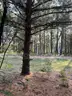 Half acre vacant lot in Baldwin, Lake CO. MI with views of Bush Lake! Rec capital of MI!