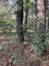 Half acre vacant lot in Baldwin, Lake CO. MI with views of Bush Lake! Rec capital of MI!
