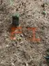 Half acre vacant lot in Baldwin, Lake CO. MI with views of Bush Lake! Rec capital of MI!