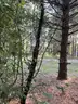 Half acre vacant lot in Baldwin, Lake CO. MI with views of Bush Lake! Rec capital of MI!