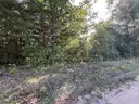 Half acre vacant lot in Baldwin, Lake CO. MI with views of Bush Lake! Rec capital of MI!