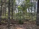 Half acre vacant lot in Baldwin, Lake CO. MI with views of Bush Lake! Rec capital of MI!