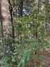 Half acre vacant lot in Baldwin, Lake CO. MI with views of Bush Lake! Rec capital of MI!