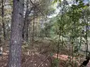 Half acre vacant lot in Baldwin, Lake CO. MI with views of Bush Lake! Rec capital of MI!