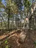 Half acre vacant lot in Baldwin, Lake CO. MI with views of Bush Lake! Rec capital of MI!