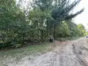 Half acre vacant lot in Baldwin, Lake CO. MI with views of Bush Lake! Rec capital of MI!