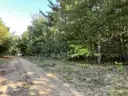 Half acre vacant lot in Baldwin, Lake CO. MI with views of Bush Lake! Rec capital of MI!