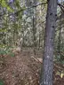 Half acre vacant lot in Baldwin, Lake CO. MI with views of Bush Lake! Rec capital of MI!