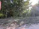 Half acre vacant lot in Baldwin, Lake CO. MI with views of Bush Lake! Rec capital of MI!