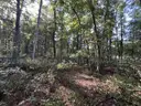 Half acre vacant lot in Baldwin, Lake CO. MI with views of Bush Lake! Rec capital of MI!