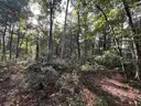Half acre vacant lot in Baldwin, Lake CO. MI with views of Bush Lake! Rec capital of MI!