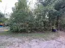 Half acre vacant lot in Baldwin, Lake CO. MI with views of Bush Lake! Rec capital of MI!