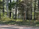 Half acre vacant lot in Baldwin, Lake CO. MI with views of Bush Lake! Rec capital of MI!