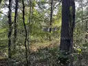 Half acre vacant lot in Baldwin, Lake CO. MI with views of Bush Lake! Rec capital of MI!