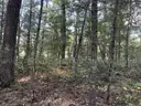 Half acre vacant lot in Baldwin, Lake CO. MI with views of Bush Lake! Rec capital of MI!
