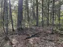 Half acre vacant lot in Baldwin, Lake CO. MI with views of Bush Lake! Rec capital of MI!