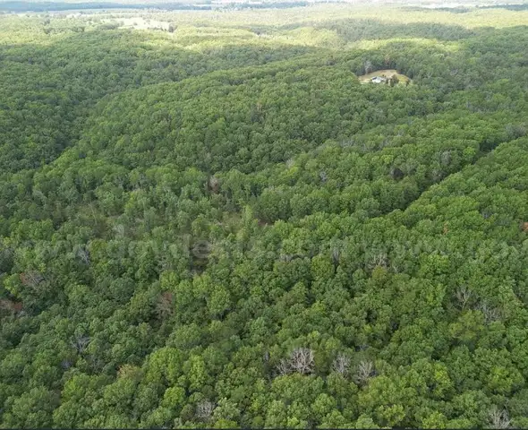 10 wooded acres in Missouri next to hunting reserve bid on payment!
