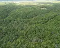 10 wooded acres in Missouri next to hunting reserve bid on payment!