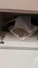 Canon imageRUNNER ADVANCE 500iF