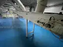 Multi tier conveyor belt distribution system