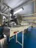 Multi tier conveyor belt distribution system