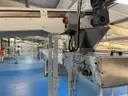 Multi tier conveyor belt distribution system