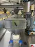 Multi tier conveyor belt distribution system
