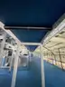 Multi tier conveyor belt distribution system