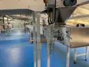 Multi tier conveyor belt distribution system