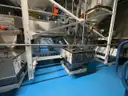 Multi tier conveyor belt distribution system
