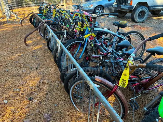 Lot of Nineteen (19) Bicycles
