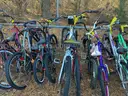 Lot of Nineteen (19) Bicycles