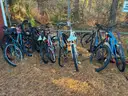 Lot of Nineteen (19) Bicycles