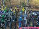Lot of Nineteen (19) Bicycles