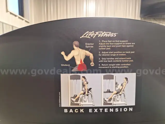 Life Fitness Back Extension