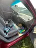 1998 Ford Taurus