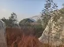 Fixer-Upper 23Ha Farm In Vryheid - Ready For Restoration