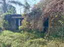 Fixer-Upper 23Ha Farm In Vryheid - Ready For Restoration