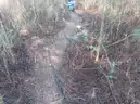Fixer-Upper 23Ha Farm In Vryheid - Ready For Restoration