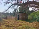 Fixer-Upper 23Ha Farm In Vryheid - Ready For Restoration