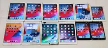 Lot of (23) Apple iPads – iPad Air (1st & 2nd Gen), iPad mini 2, iPad 5th Gen & iPad Pro – Reset & Activated