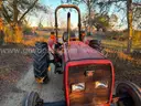 Massey Ferguson 431 Tractor