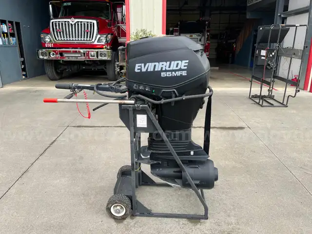 Evinrude 55MFE