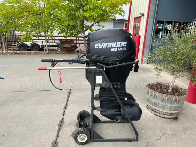 Evinrude 55MFE
