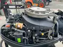Evinrude 55MFE