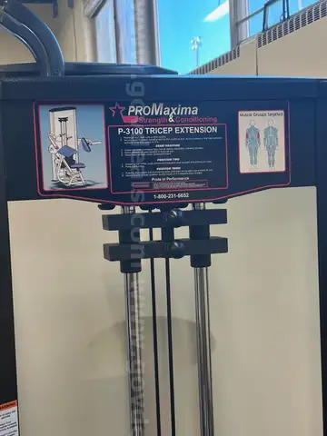 P3100-Tricep Extension machine