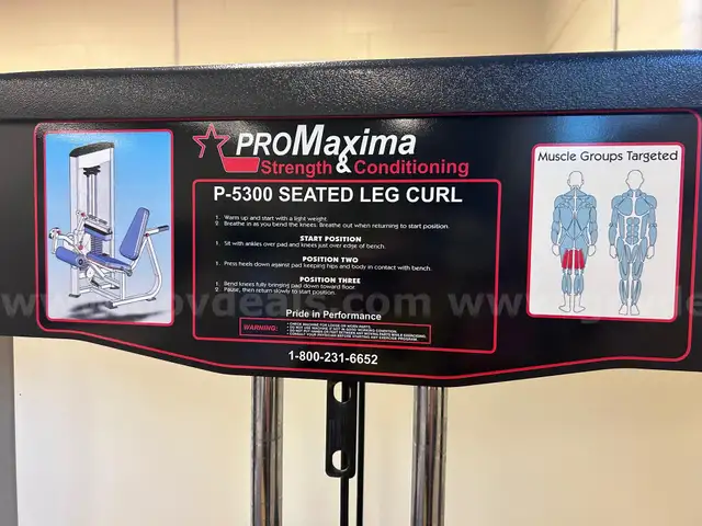 P-5300 Seated Leg Curl machine