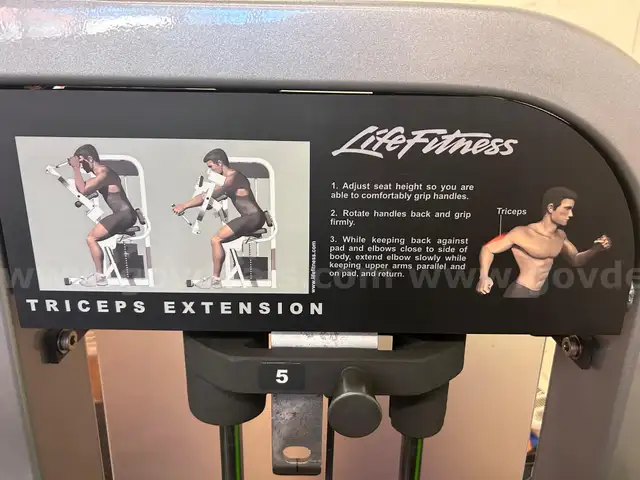 Life Fitness Triceps Extension machine