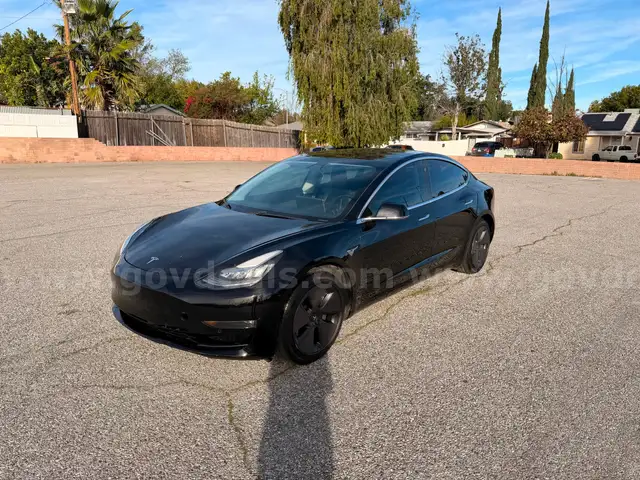 2019 Tesla Model 3