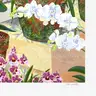 John Powell, "Orchids and Sunlight" Limited Edition Fine Art